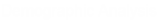 Demographic Analysis